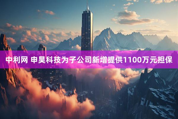 中利网 申昊科技为子公司新增提供1100万元担保