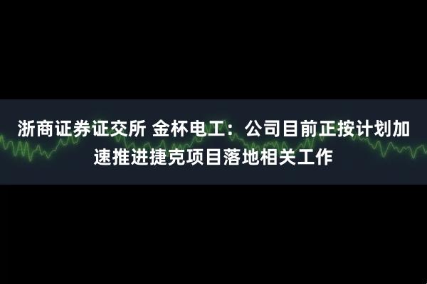 浙商证券证交所 金杯电工：公司目前正按计划加速推进捷克项目落地相关工作