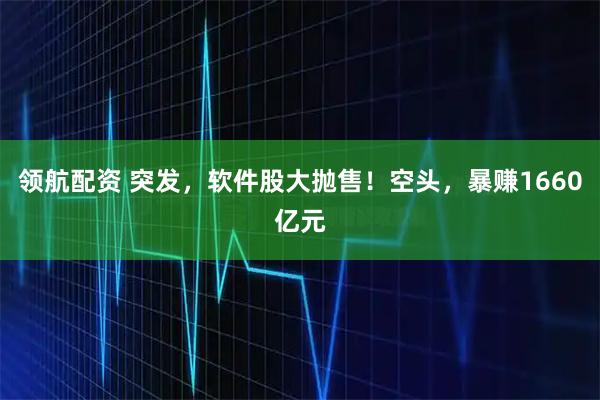 领航配资 突发，软件股大抛售！空头，暴赚1660亿元