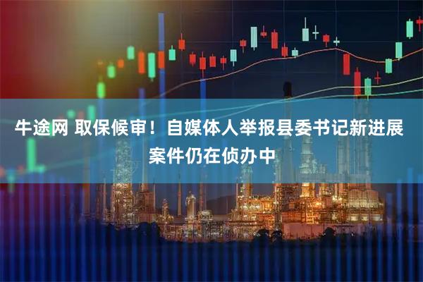 牛途网 取保候审！自媒体人举报县委书记新进展 案件仍在侦办中